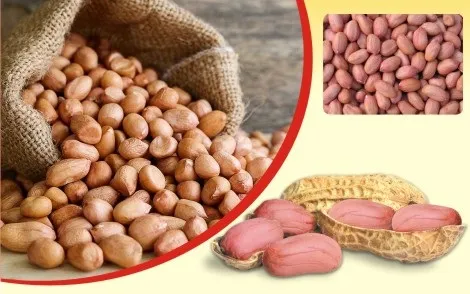 Sourcing Quality Peanuts